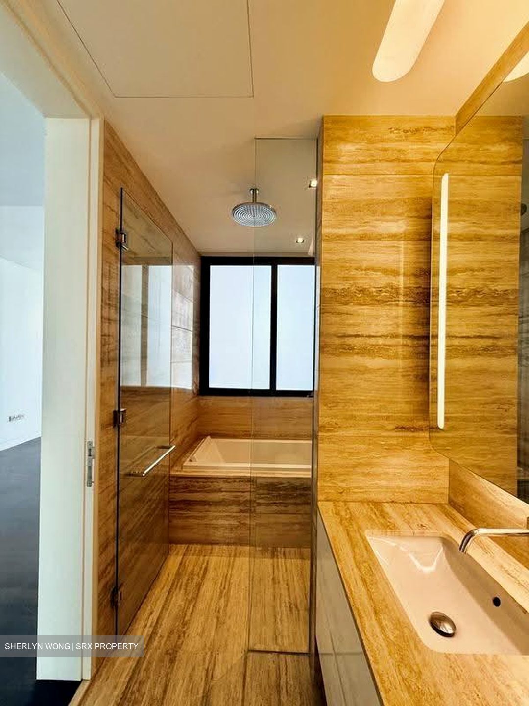 Lloyd Sixtyfive (D9), Apartment #636256611